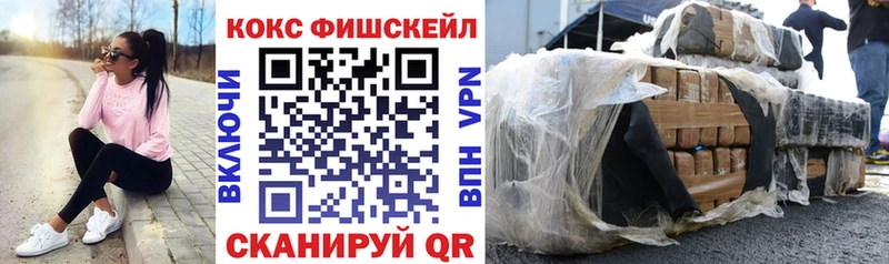Купить закладки  Гусев  COCAIN 97% 