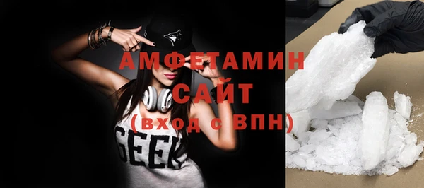соль ск Инсар