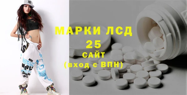 соль ск Инсар