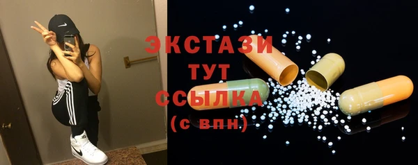 соль ск Инсар
