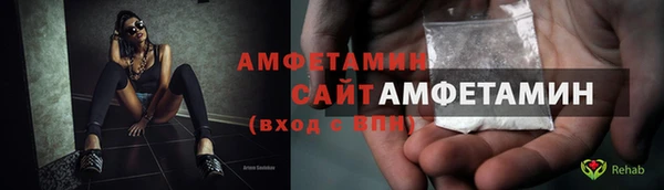 соль ск Инсар