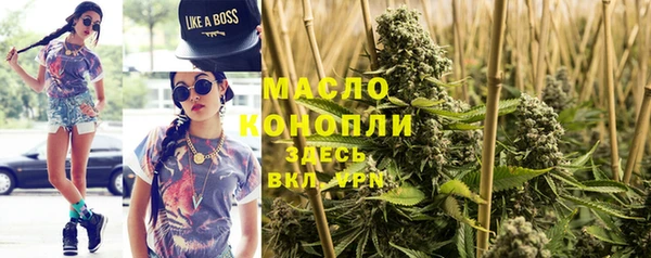 соль ск Инсар