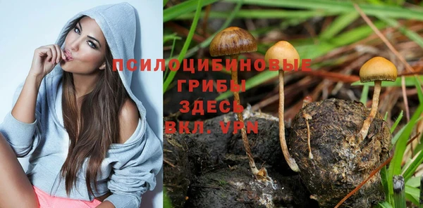 альфа пвп VHQ Инта