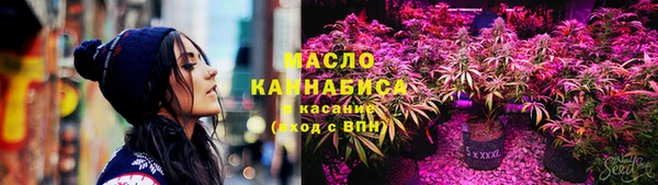 соль ск Инсар
