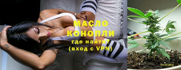 соль ск Инсар