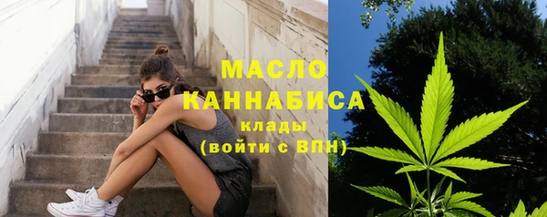 соль ск Инсар