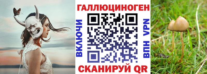 Галлюциногенные грибы мицелий  Купить закладки  Гусев 